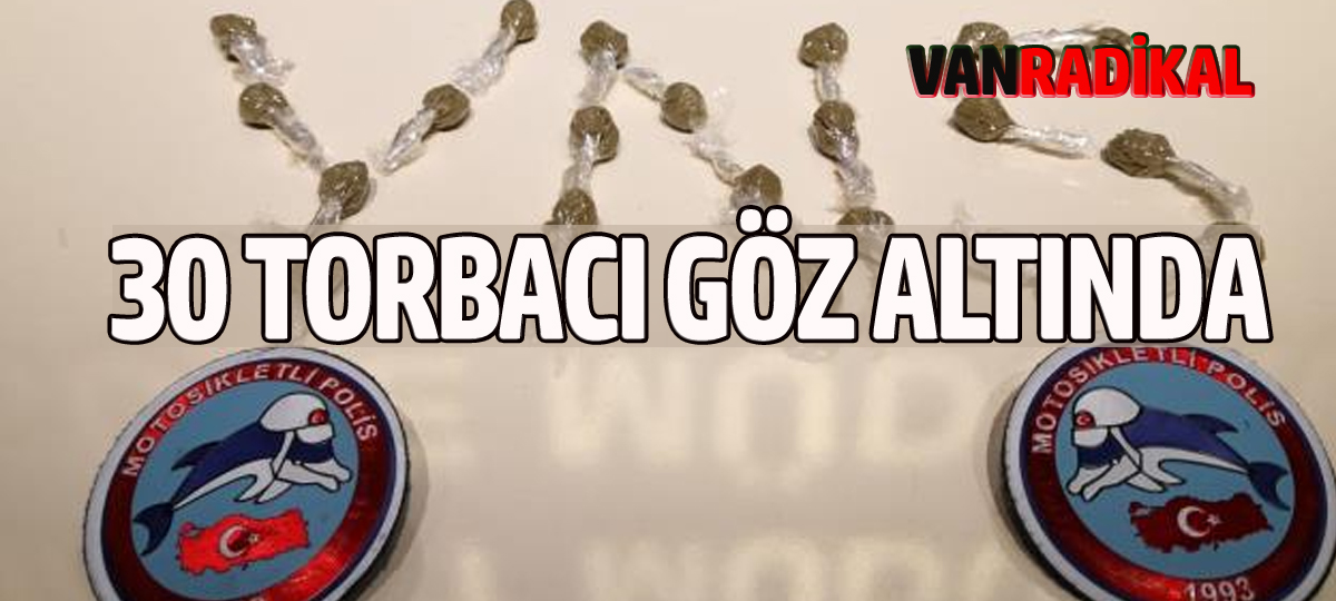 Van'da 30 Torbacı Göz Altına Alındı