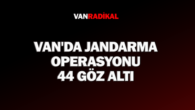 Van'da 44 göz altı 