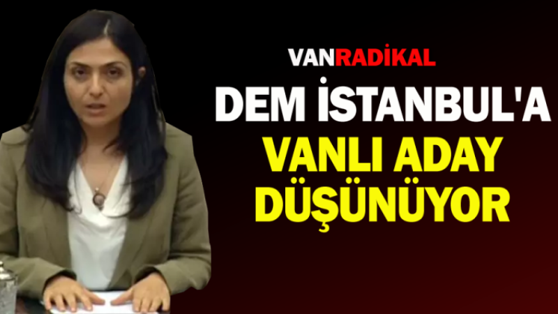DEM İstanbul'a Vanlı ismi düşünüyor.