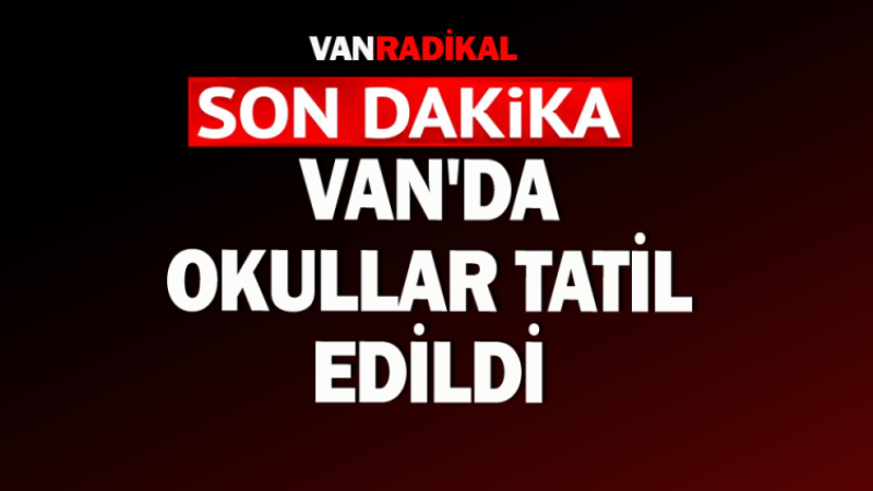 Van'da okullar tatil edildi