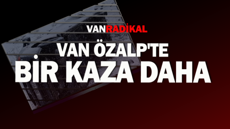 Özalp'te trafik canavarı hortladı 