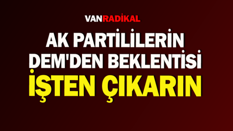 Ak Partililerin DEM Parti'den beklentisi 