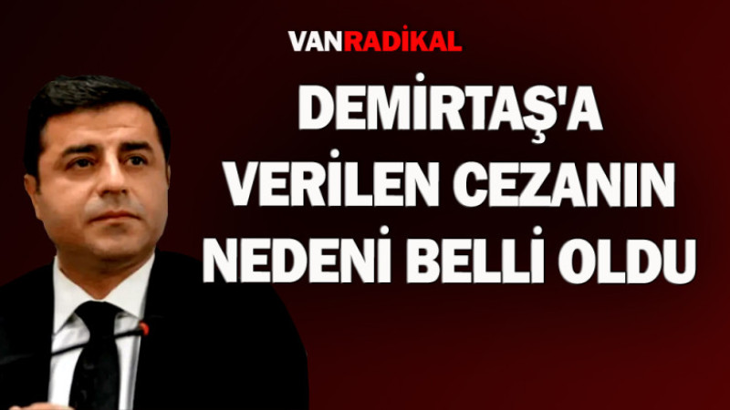 Demirtaş'a neden 42 yıl ceza verildi