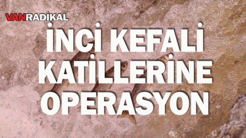 Van Balığı Katilleri Durmuyor