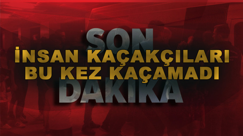 7 kişiden 3'ü tutuklandı