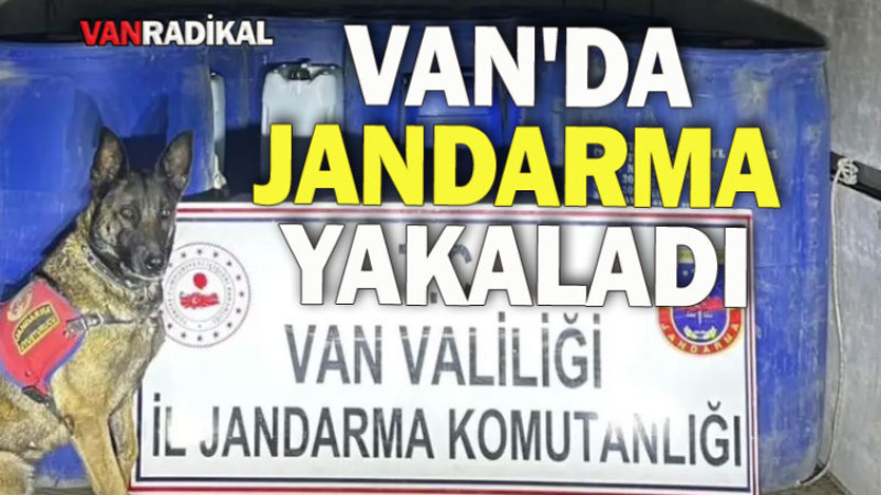 VAN'DA JANDARMA ELE GEÇİRDİ