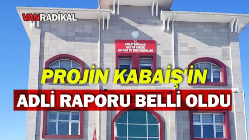 Van'da Kaybolan Rojin Kabaiş'in Adli Raporu Açıklandı
