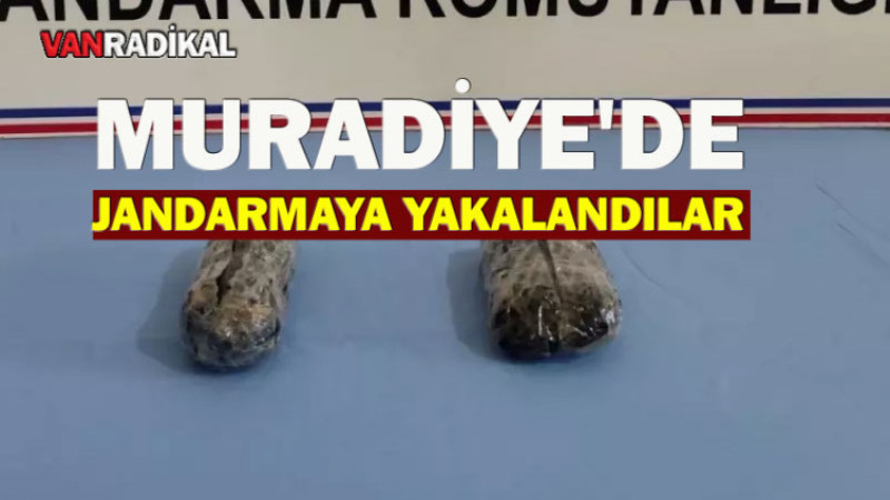 Muradiye'de Jandarmaya Yakalandılar