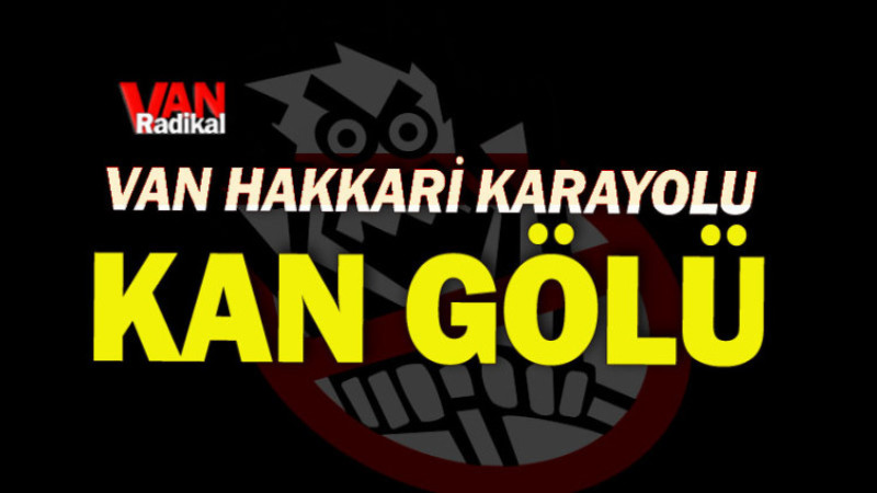 Hakkari-Van Karayolunda Kaza: 3 Yaralı