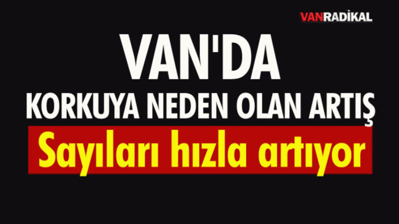 Van'daki artış korkulara neden oldu