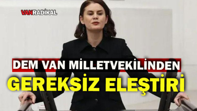 DEM Van Milletvekilinin Gereksiz Eleştirisi