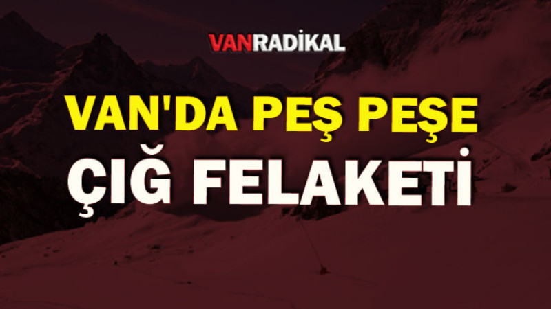 Van Çatak’ta Peş Peşe Çığ Felaketi