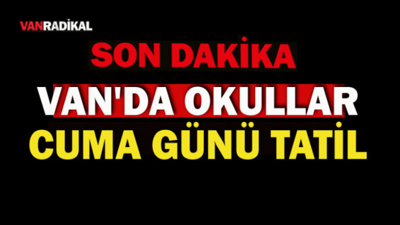 VAN'DA OKULLAR TATİL EDİLDİ