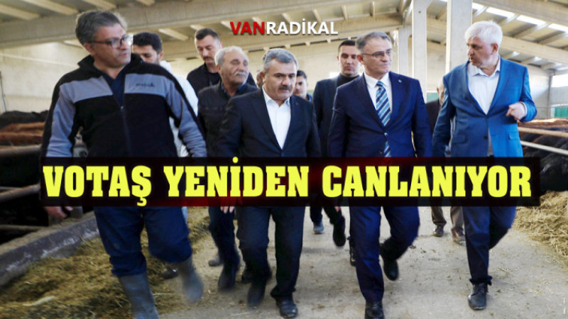 VOTAŞ YENİDEN CANLANIYOR