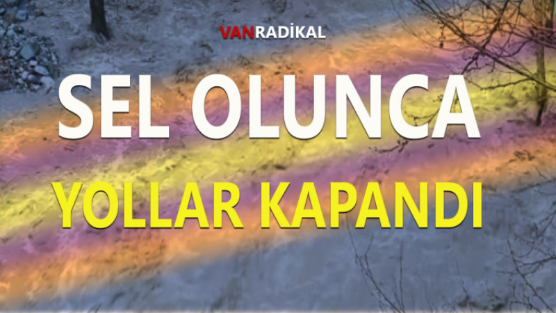 VAN ÇATAK KARAYOLUNDA TEHLİKE