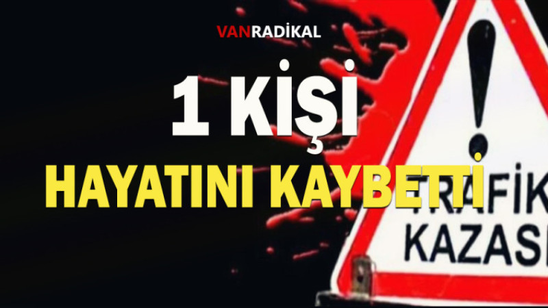 ERÇİŞTE İNCELEME BAŞLATILDI
