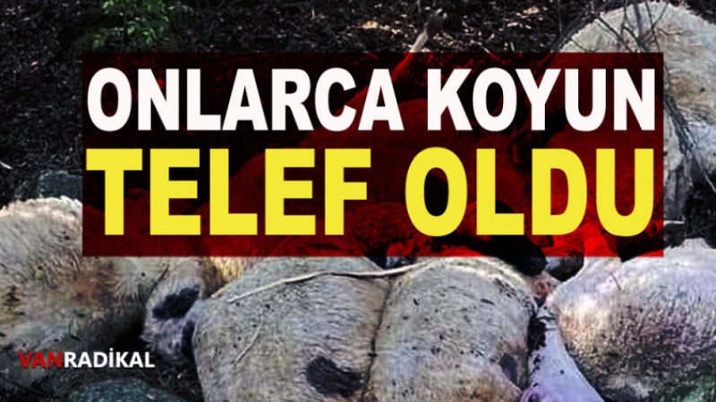 YILDIRIM DÜŞTÜ KAYIP VAR